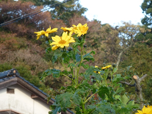 c0042418_8443297.jpg