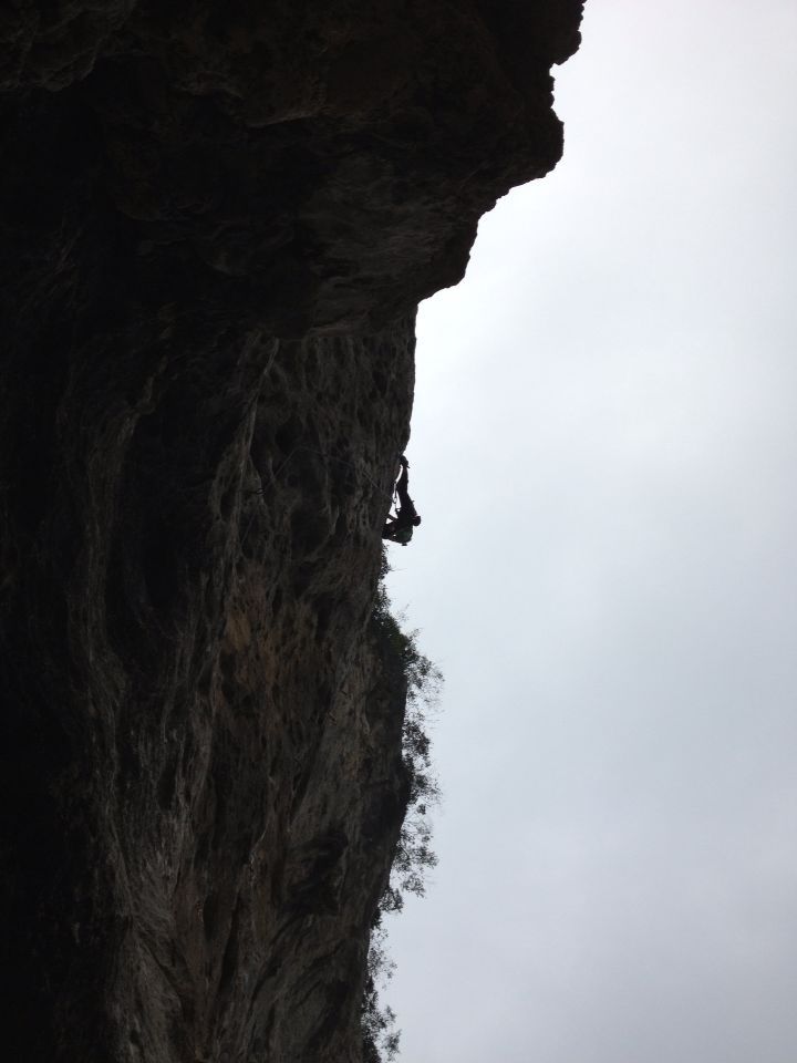 c0210618_029517.jpg