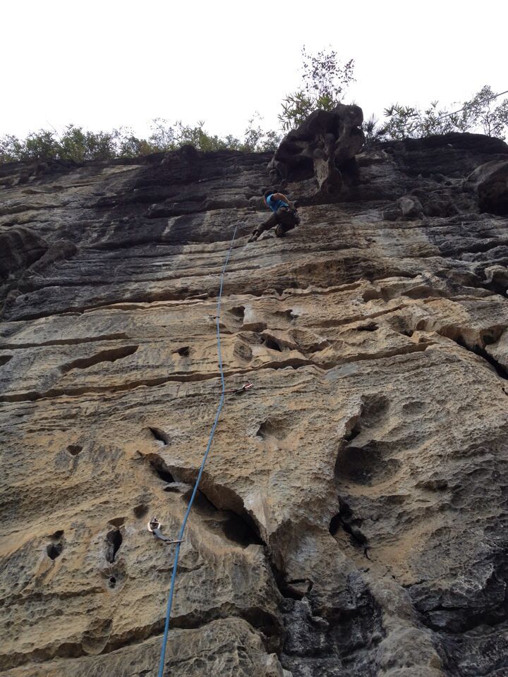 c0210618_21371028.jpg