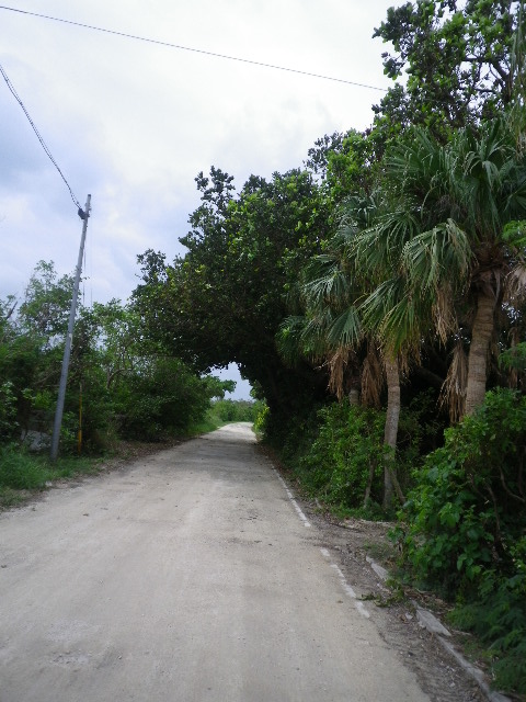 d0193224_22465717.jpg