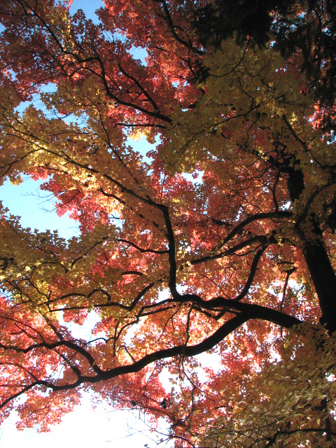 b0080027_23265174.jpg