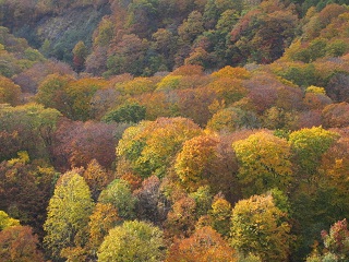 c0051529_22493339.jpg