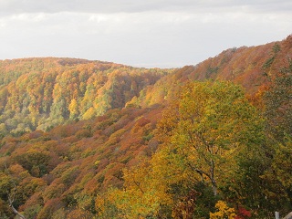 c0051529_2250346.jpg