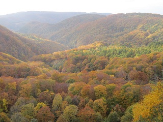 c0051529_22504330.jpg