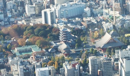b0137932_2240138.jpg
