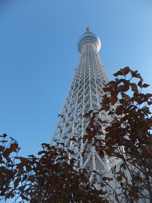 b0137932_7382973.jpg