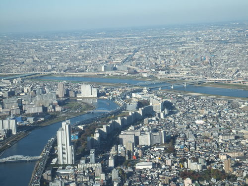 b0137932_7505492.jpg