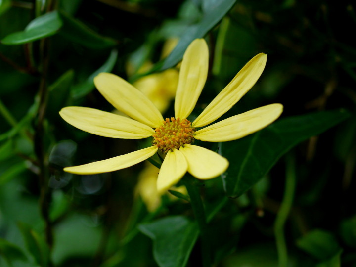 d0241937_12294338.jpg