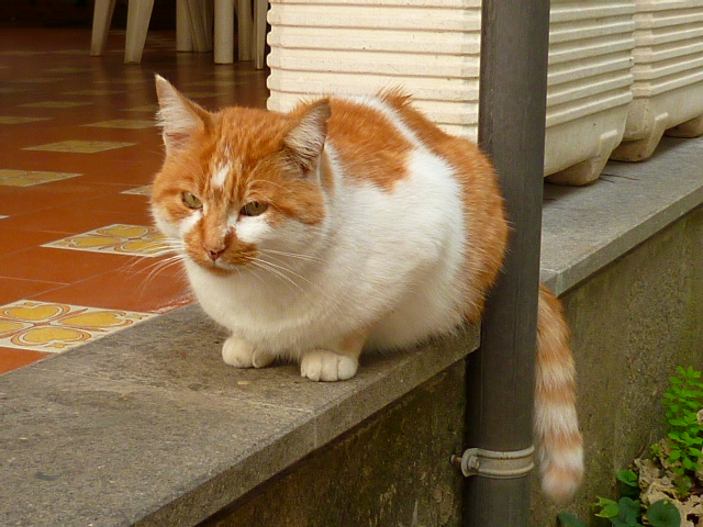 d0170140_655370.jpg