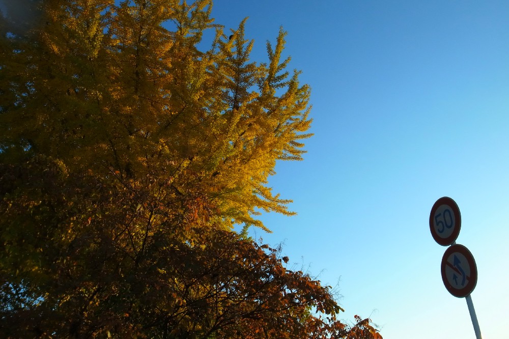 e0009147_9153010.jpg