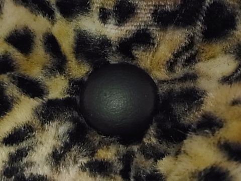 a0159652_203035.jpg