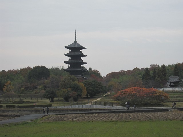 d0031853_0291297.jpg