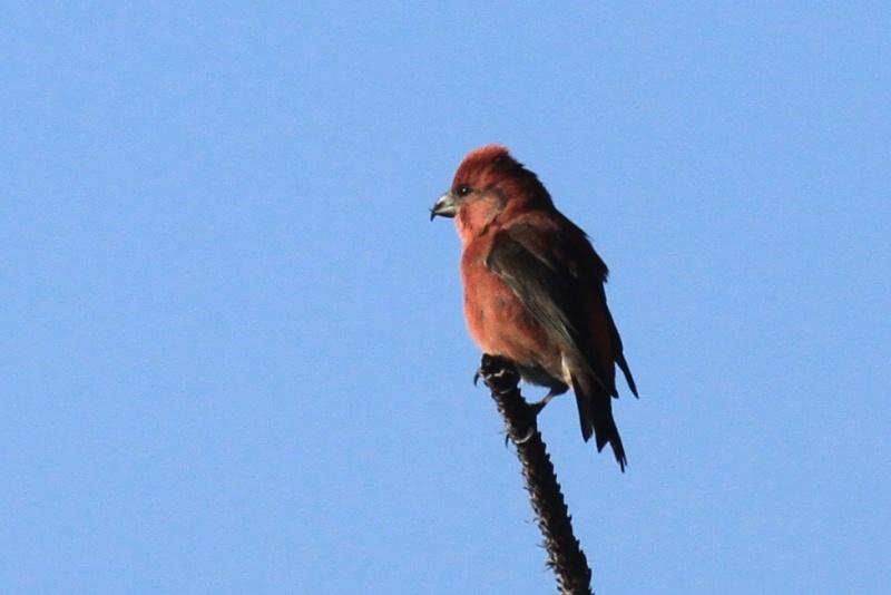 c0136654_012710.jpg