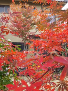 b0246758_20541011.jpg