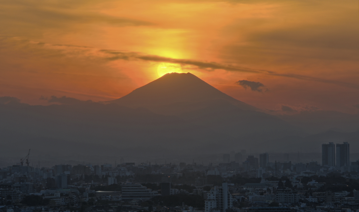 a0150260_0165718.jpg