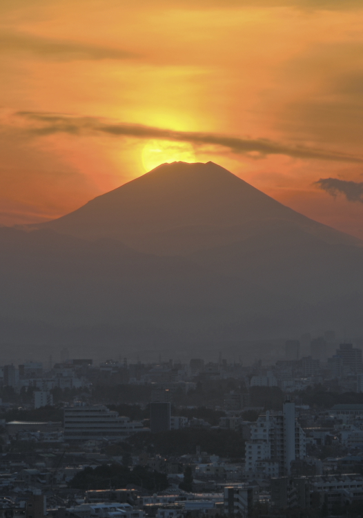 a0150260_1430470.jpg