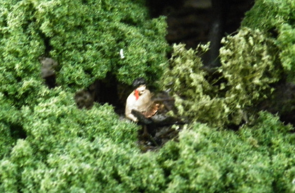 c0222964_23382034.jpg