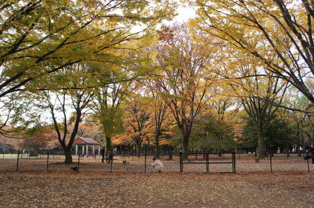 e0223965_22251122.jpg
