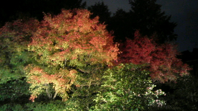 c0018666_22215857.jpg