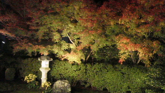 c0018666_22215885.jpg