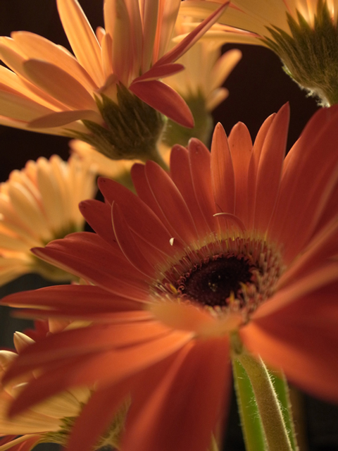 c0227366_17121279.jpg