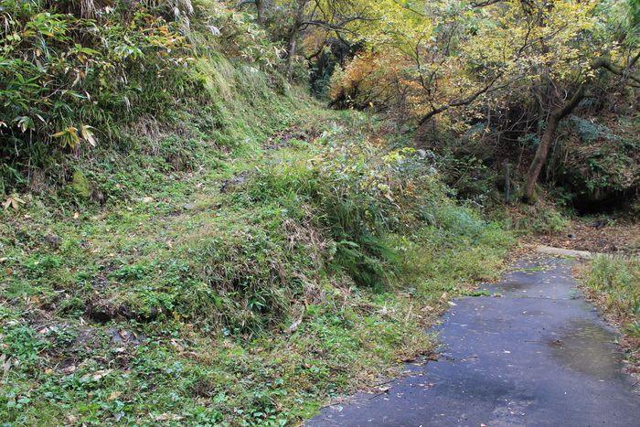 f0223068_759523.jpg