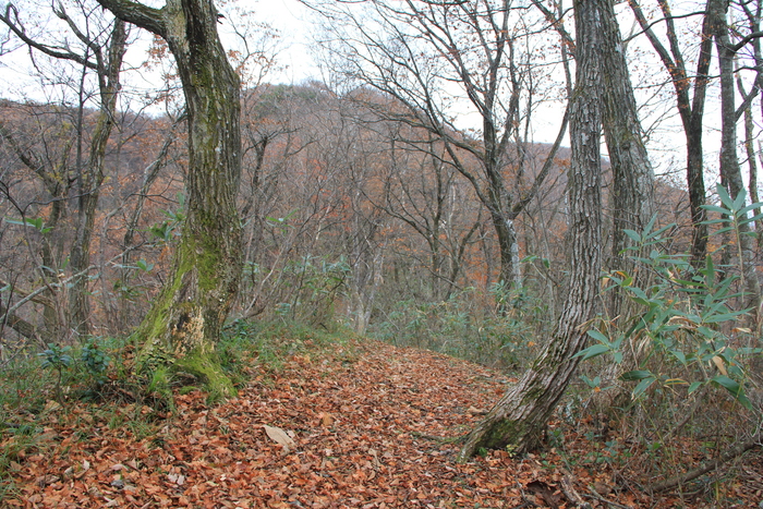 f0223068_825699.jpg