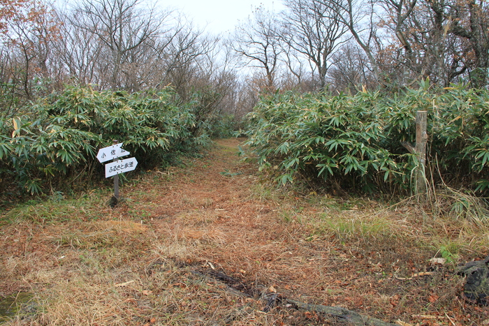 f0223068_832361.jpg