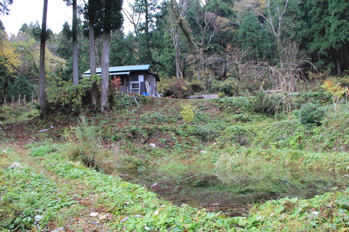 f0223068_83519.jpg
