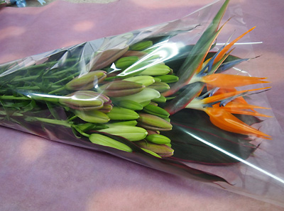 e0097770_22183048.jpg