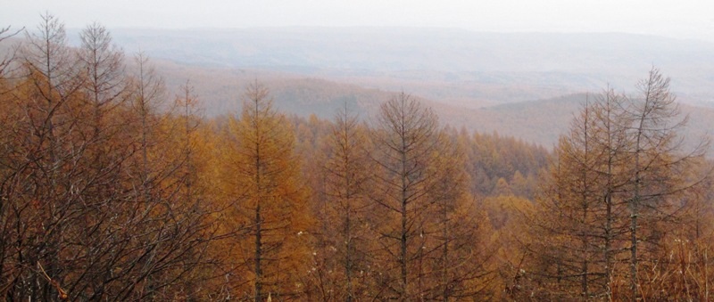 a0091680_21393745.jpg