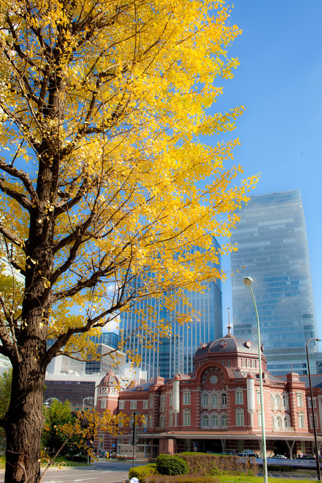 a0243882_22575868.jpg