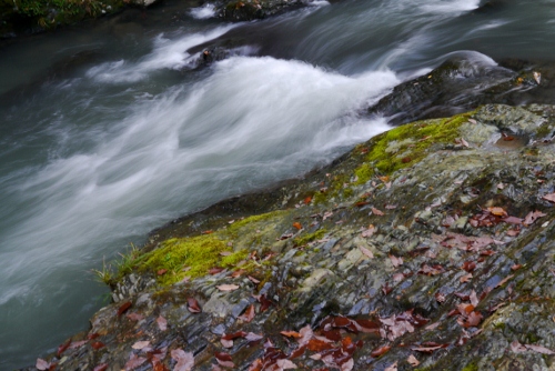 b0226089_152777.jpg