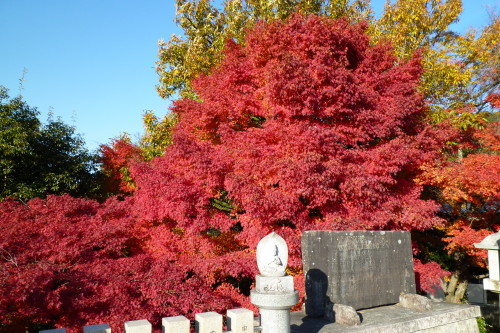 e0094589_2191714.jpg