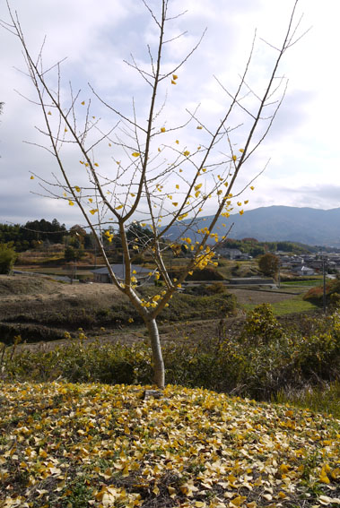 f0222692_12573320.jpg