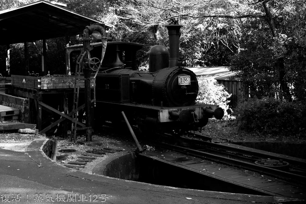 f0220502_1533266.jpg