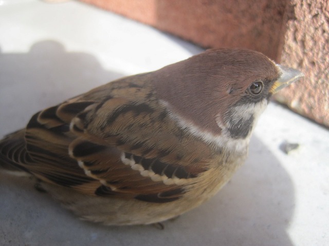 f0202703_2330453.jpg