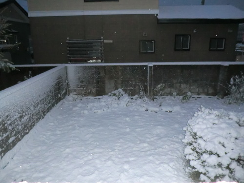 e0242504_8485730.jpg