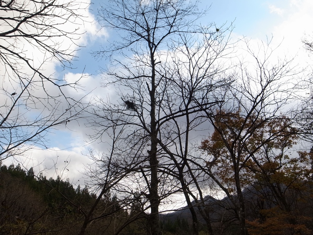 b0050305_449268.jpg