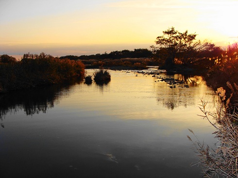 e0123808_21123244.jpg