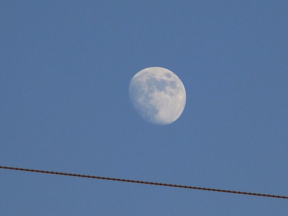 e0123808_2182748.jpg