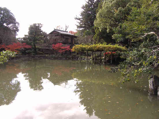 d0154609_16381916.jpg