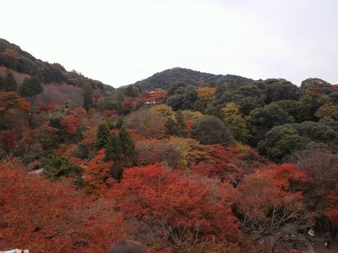 f0127610_18103847.jpg
