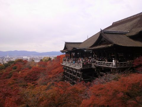f0127610_18112970.jpg