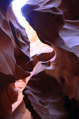 c0148812_1036165.jpg