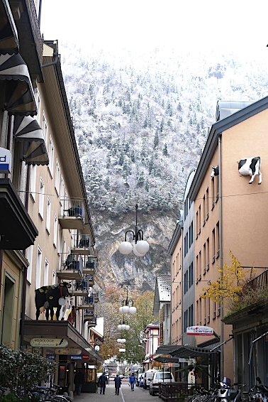 e0157816_743479.jpg