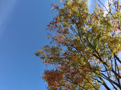 e0179321_1922567.jpg
