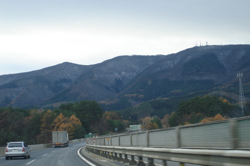 d0250123_21141938.jpg