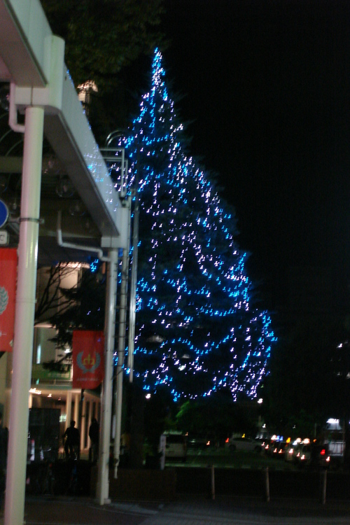 d0250123_21245440.jpg