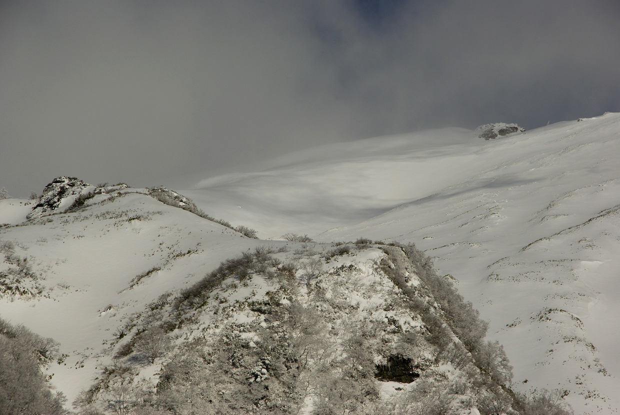 b0062024_19541844.jpg